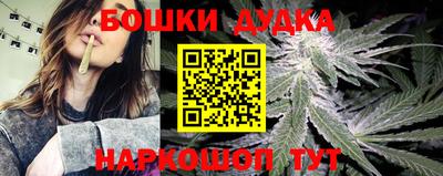сатива Будённовск
