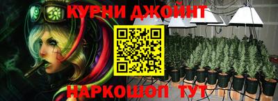 сатива Будённовск