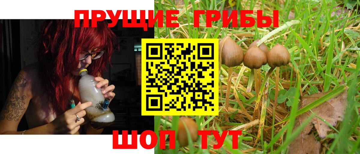 Галлюциногенные грибы ЛСД  Псилоцибиновые грибы Cubensis  Вход с VPN  Беслан 